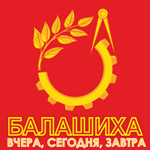 О мандатной комиссии Совета депутатов Балашихинского района