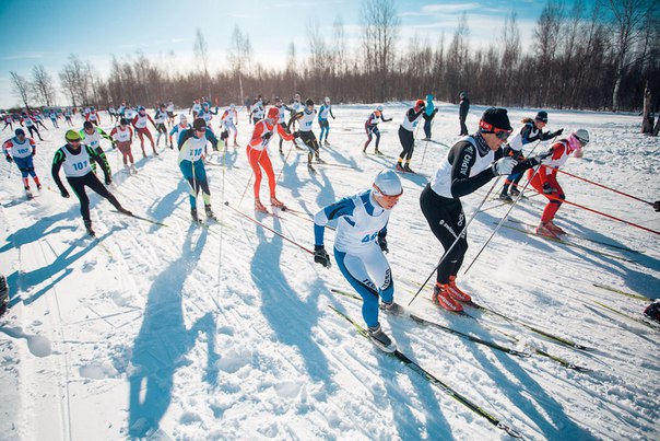 Лыжная гонка пройдет в Балашихе 22 января Приглашаем всех желающих принять участие в открытом первенстве Городского округа Балашиха