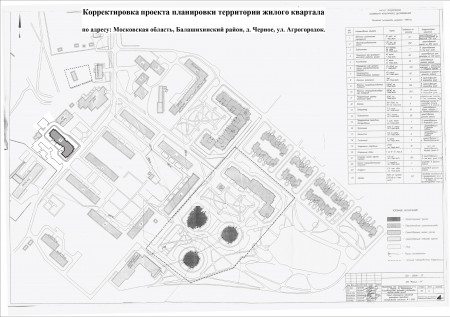 Планировка территории жилого квартала в деревне Черное