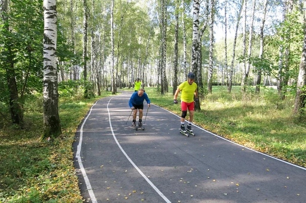 В Пестовском парке Балашихи появится лыжероллерная трасса Работы по благоустройству парка стартовали в позапрошлом году.