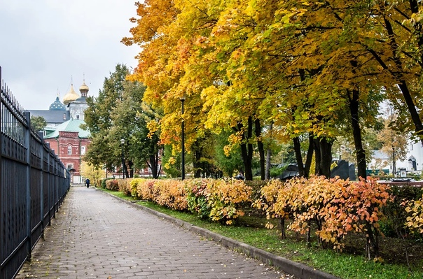 В Москве и Подмосковье прогнозируется холодный конец сентября и начала октября, температура воздуха будет на 2-3 градуса ниже климатической