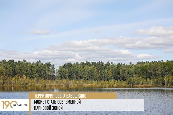 Комитет лесного хозяйства Московской области готов передать территорию озера Бабошкино муниципалитету.