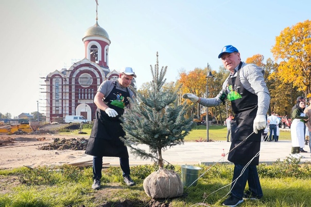Очень плодотворным выдае тся начало осени На территории всеи Московскои области сеи час проходит экологическая акция Наш лес.