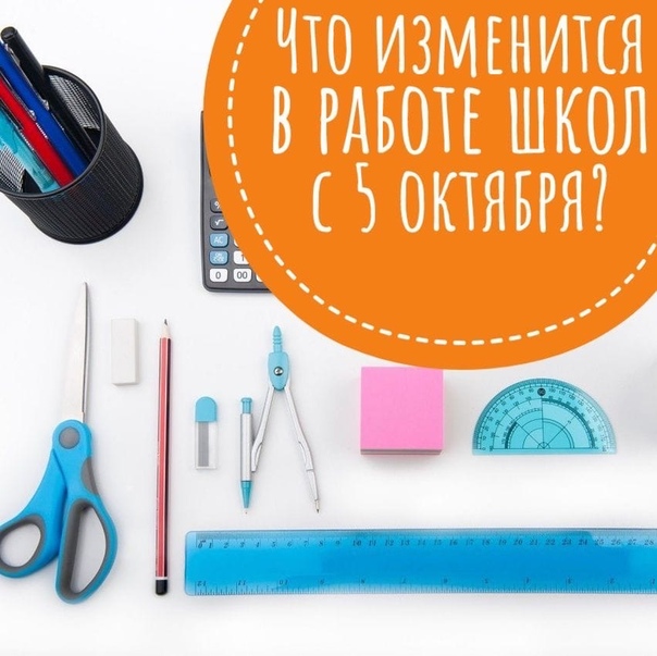 Что изменится в работе школ с 5 октября Рассказывает министр образования МО Ирина Каклюгина.
