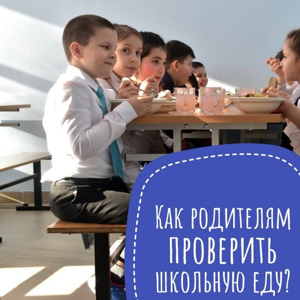 Как родителям проверить, чем детей кормят в школе Рассказывает заместитель председателя Правительства МО Ирина Каклюгина.