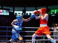 Благотворительный турнир по боксу прошел в Подольске 20 сентября 2014 года в Подольске в здании спортивно-оздоровительного комплекса