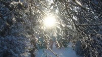В выходные дни в Московскую область придут сильные морозы Синоптики утверждают, что ночные температуры могут упасть в Московской Реутов
