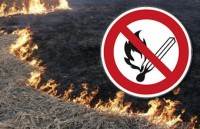 Вниманию учреждений, организаций, жителей Балашихи пал сухой травы и растительности запрещен! Сжигание листвы, травы, тополиного