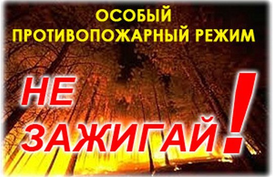 С 1 мая на территории Московской области установлен особый противопожарный режим Уважаемые жители и гости Городского округа Балашиха!