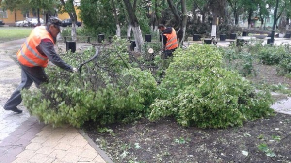 После ураганного ветра в Балашихе попадало большое количество деревьев и веток. Управляющая организация ООО "КВАНТ-7"