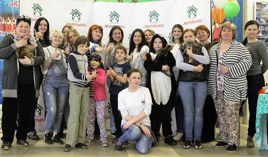 В Балашиха состоялась благотворительная выставка бездомных кошек Во Дворце культуры Балашиха 3 июня уже в 3-й раз состоялась Благотворительная