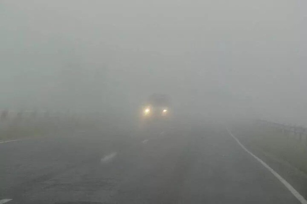 В Москве и Подмосковье объявили желтый уровень опасности на 5 ноября из-за непогоды, ожидается туман.