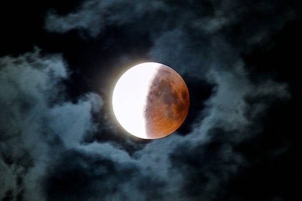 Жителям Московского региона пообещали благоприятную погоду для наблюдения лунного затмения.