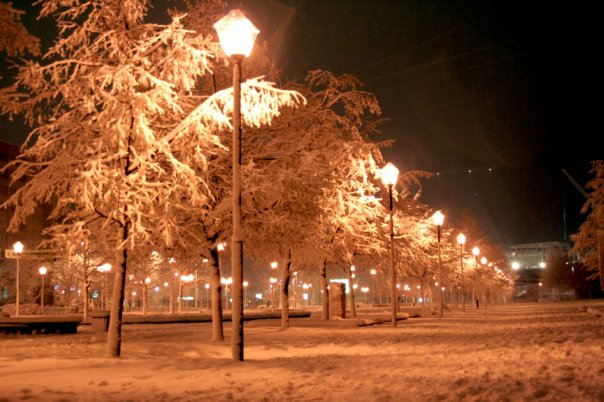 Температура от 3 до минус 10 градусов ожидается в московском регионе на выходные, также синоптики прогнозируют интенсивное падение