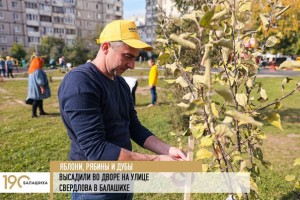 Яблони, рябины и дубы высадили во дворе на улице Свердлова в Балашихе 24 сентября в рамках акции Наш лес.