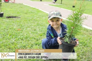 Микрорайон Дзержинского присоединился к акции Наш лес. Посади свое