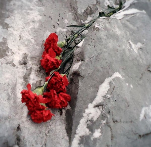 30 октября День памяти жертв политических репрессий. Этот день, - Лилия Татевосян Первый зам. Главы г.о. Балашиха