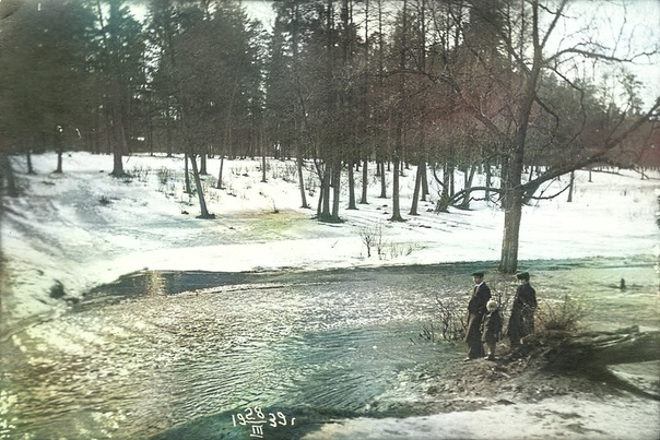 1939 год. Ручей (речка Чечёра) у впадения в Жёлтый пруд.